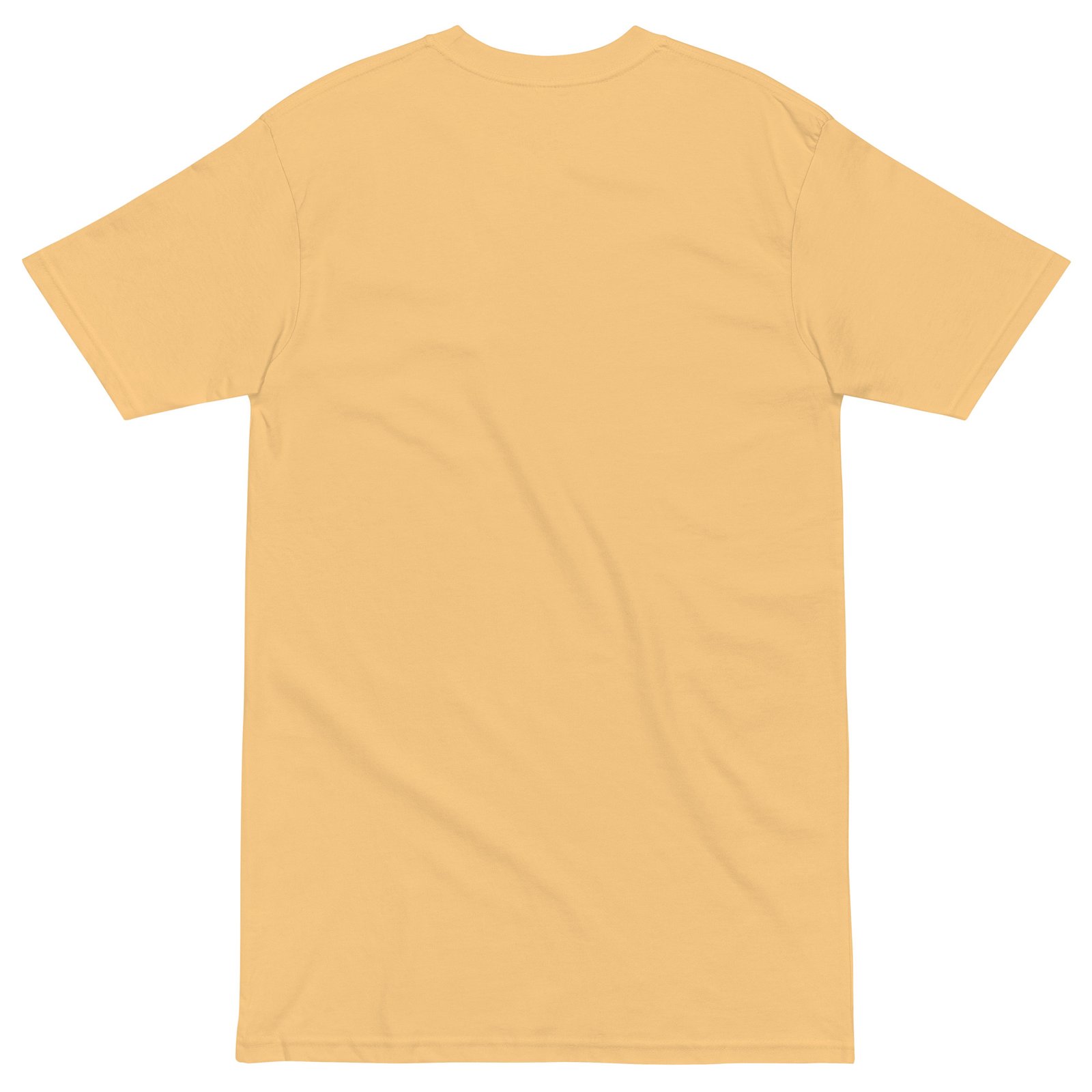 Men’s premium heavyweight tee Nextia Insights - Imagen 17