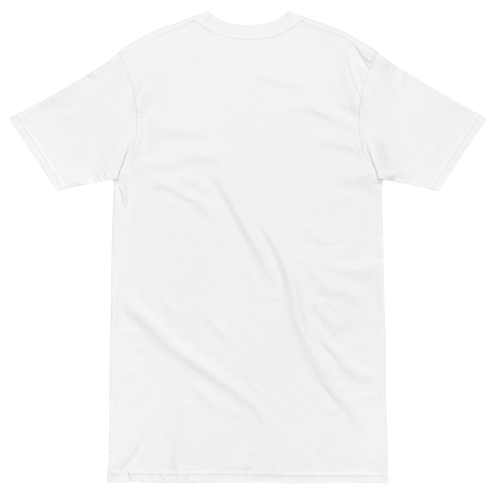 Men’s premium heavyweight tee Nextia Insights - Imagen 19