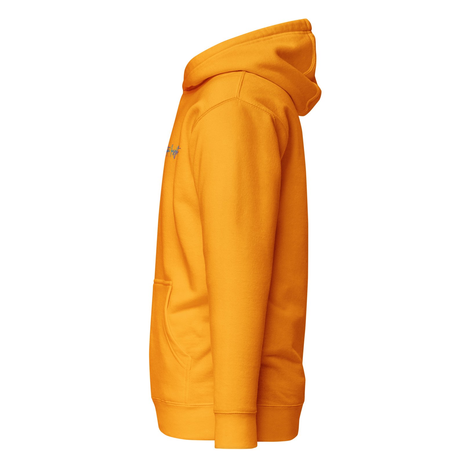 Unisex Hoodie Nextia Insights - Imagen 24